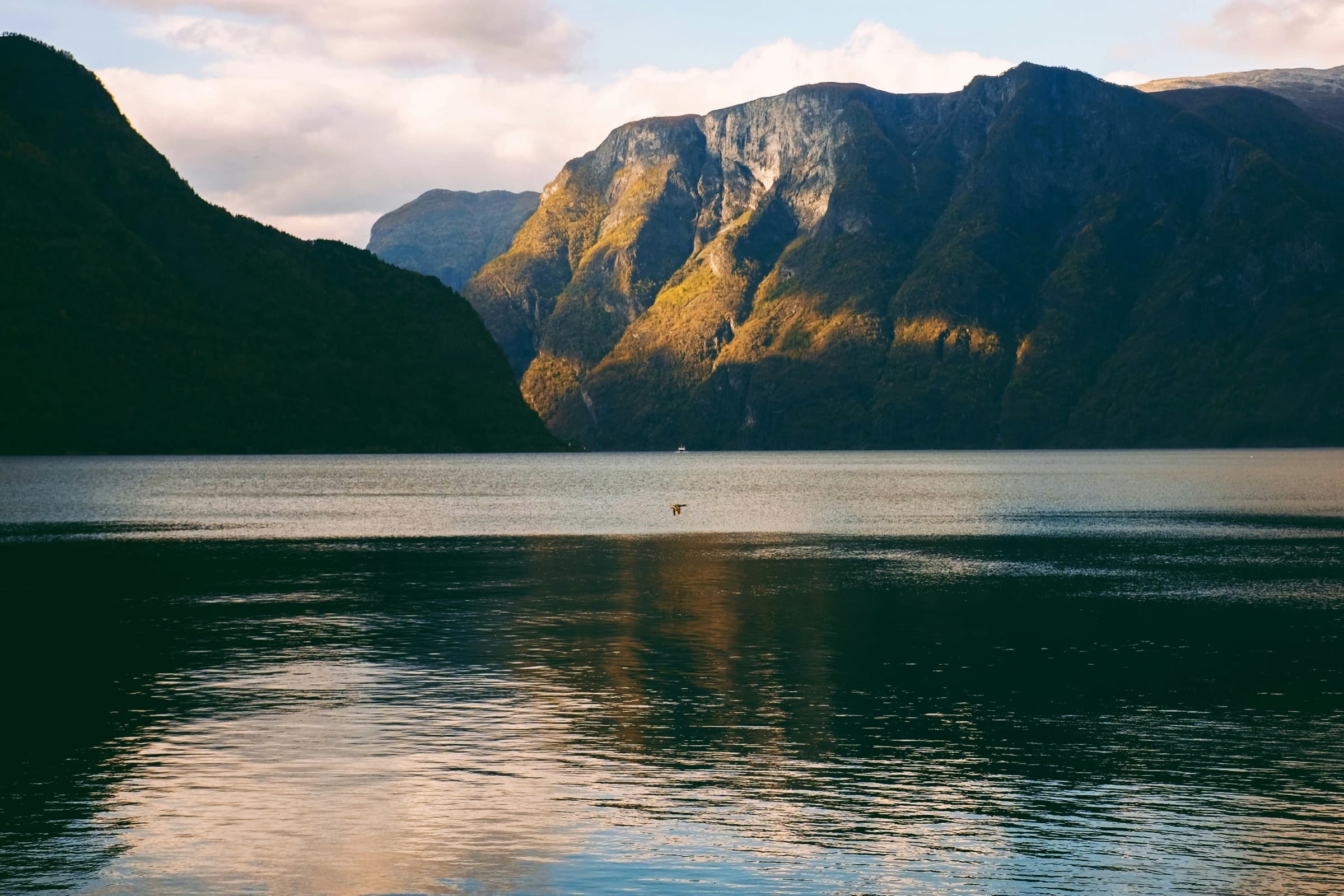 Aurlandsfjorden i kveldslys
